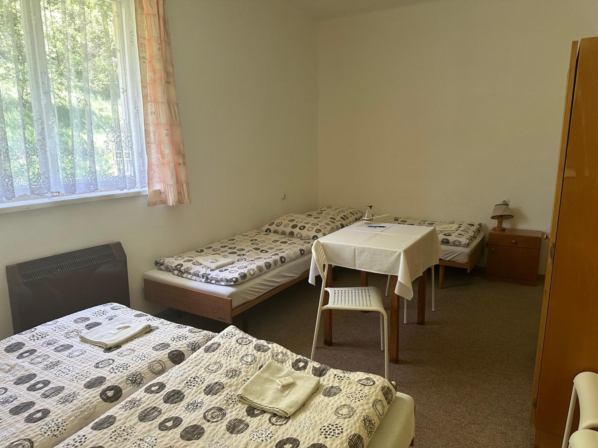 Pension Palla Svojanov  Bagian luar foto